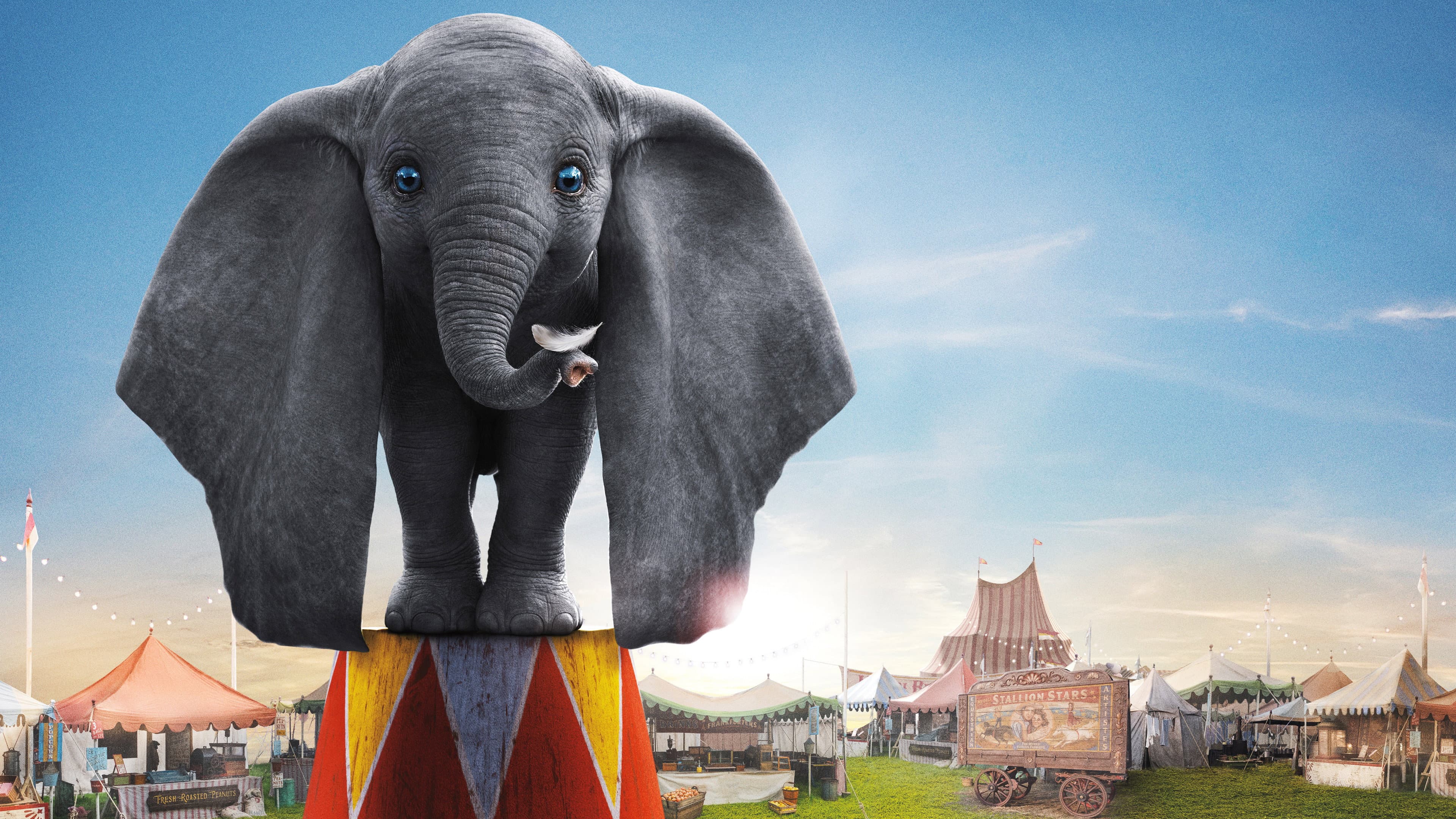 Dumbo - immagine