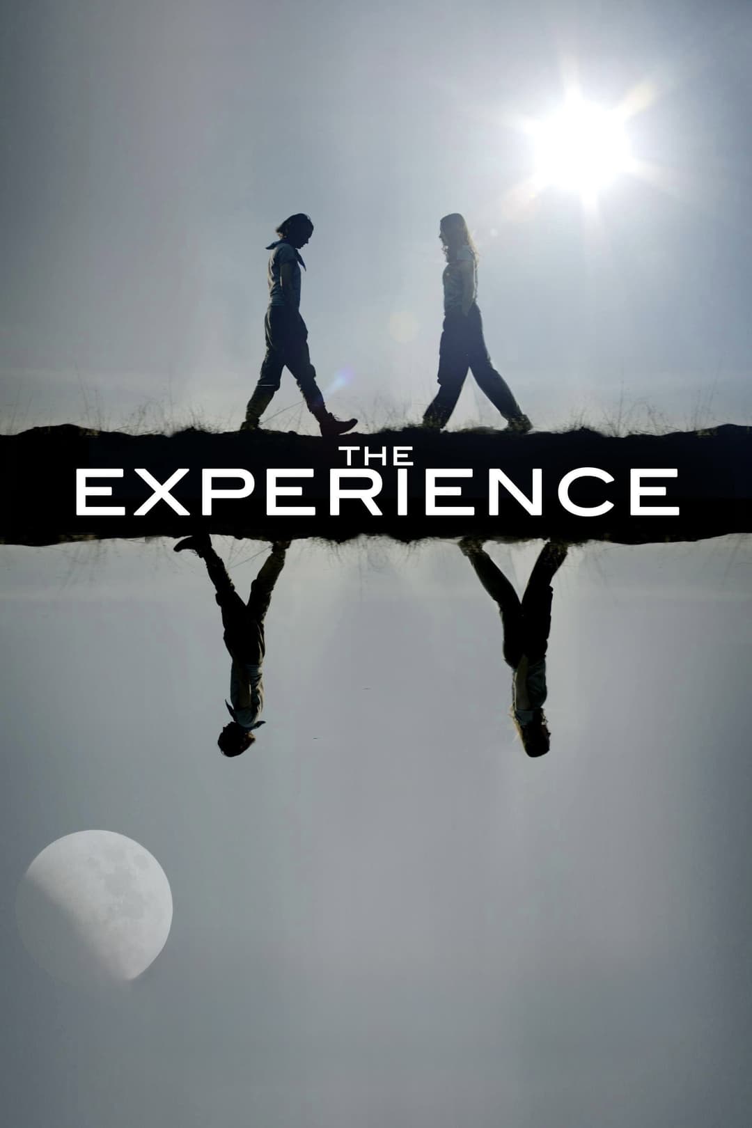 Poster di The Experience