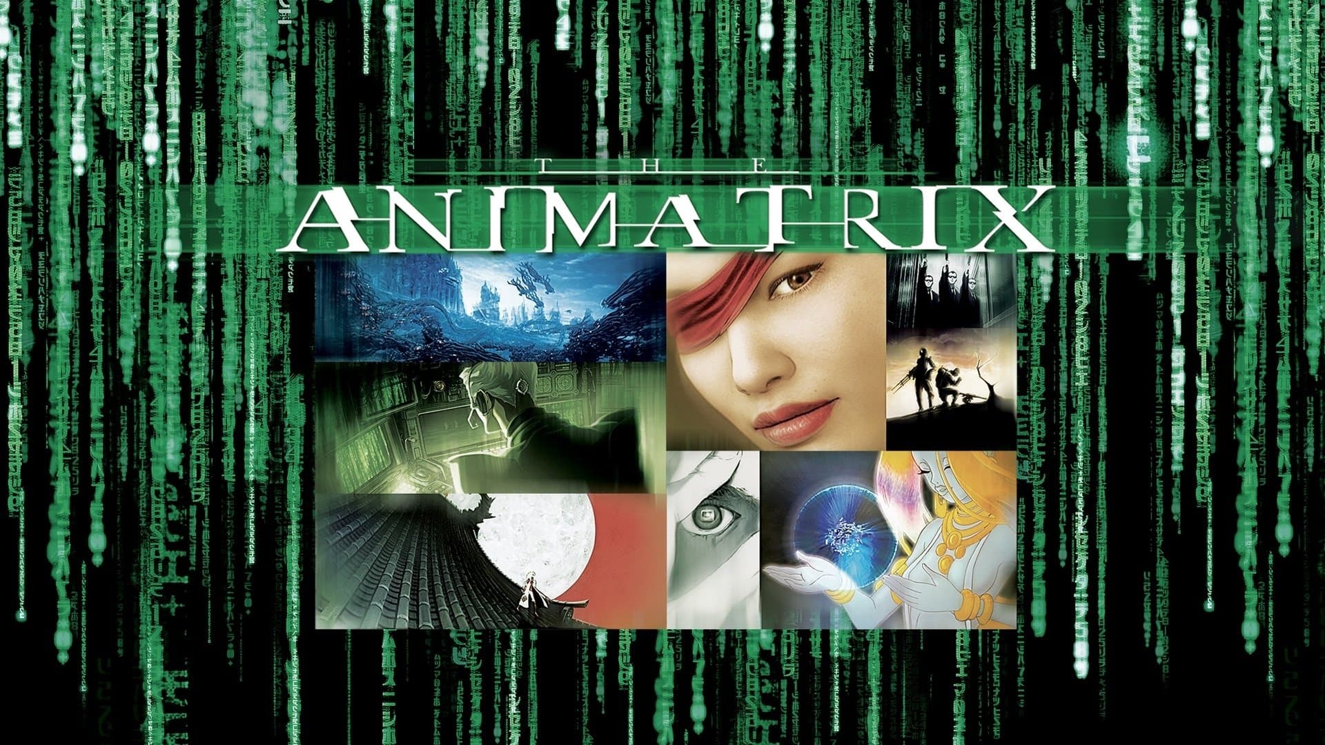 Animatrix - immagine