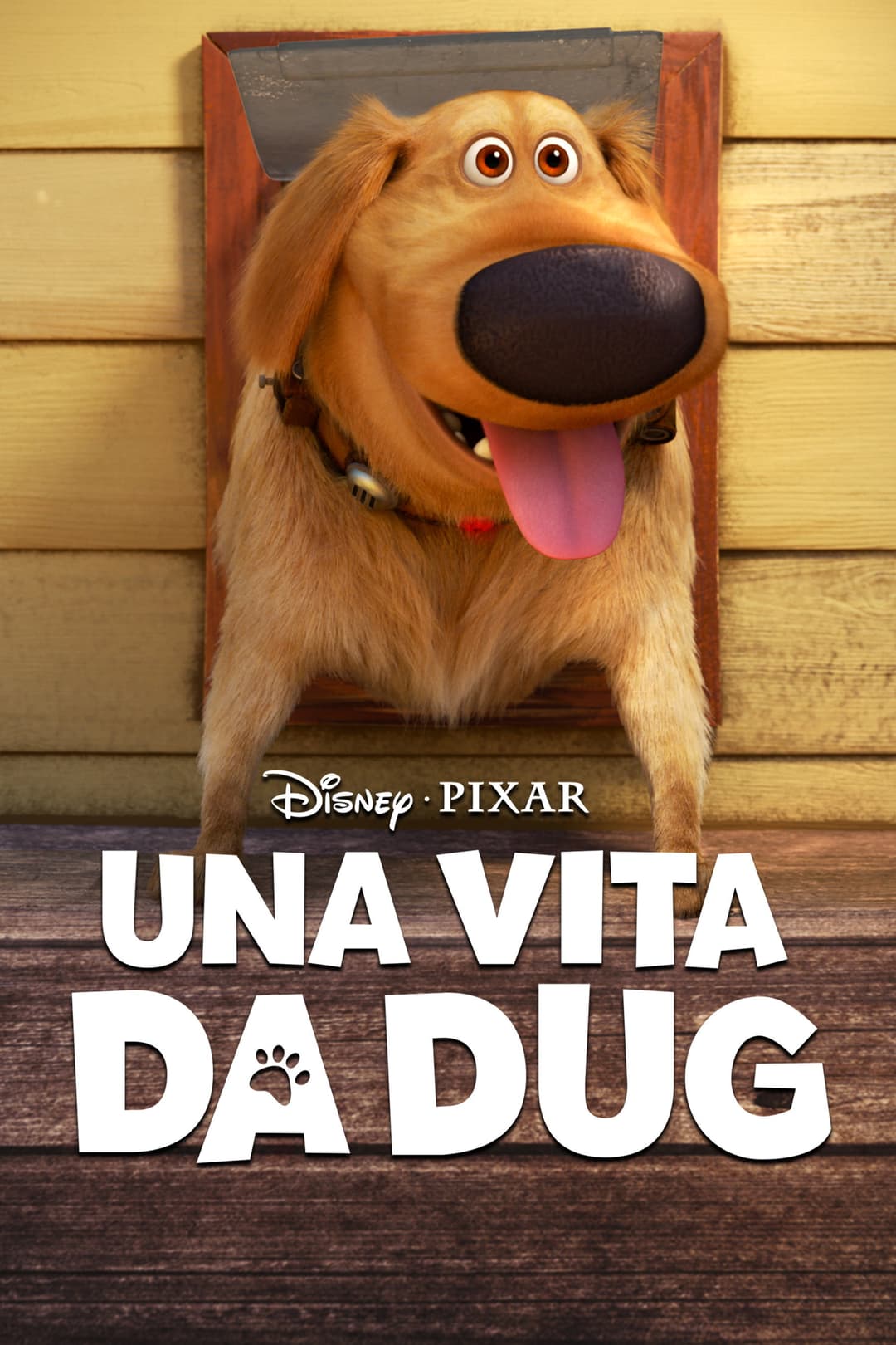 Poster di Una vita da Dug