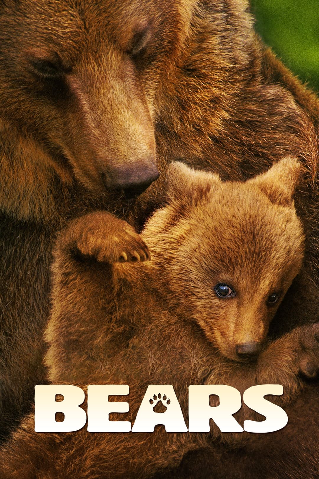 Poster di Bears