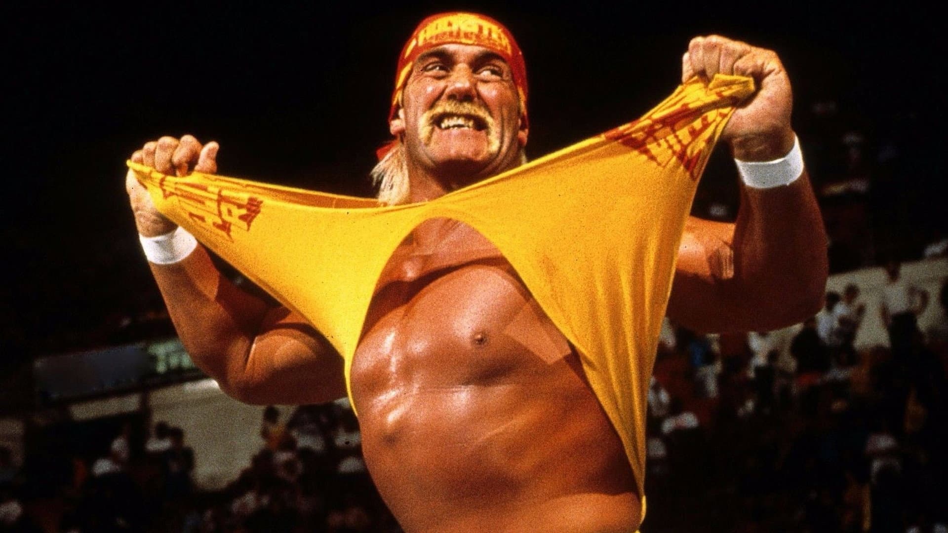 WWE: Hulk Hogan: The Ultimate Anthology - immagine