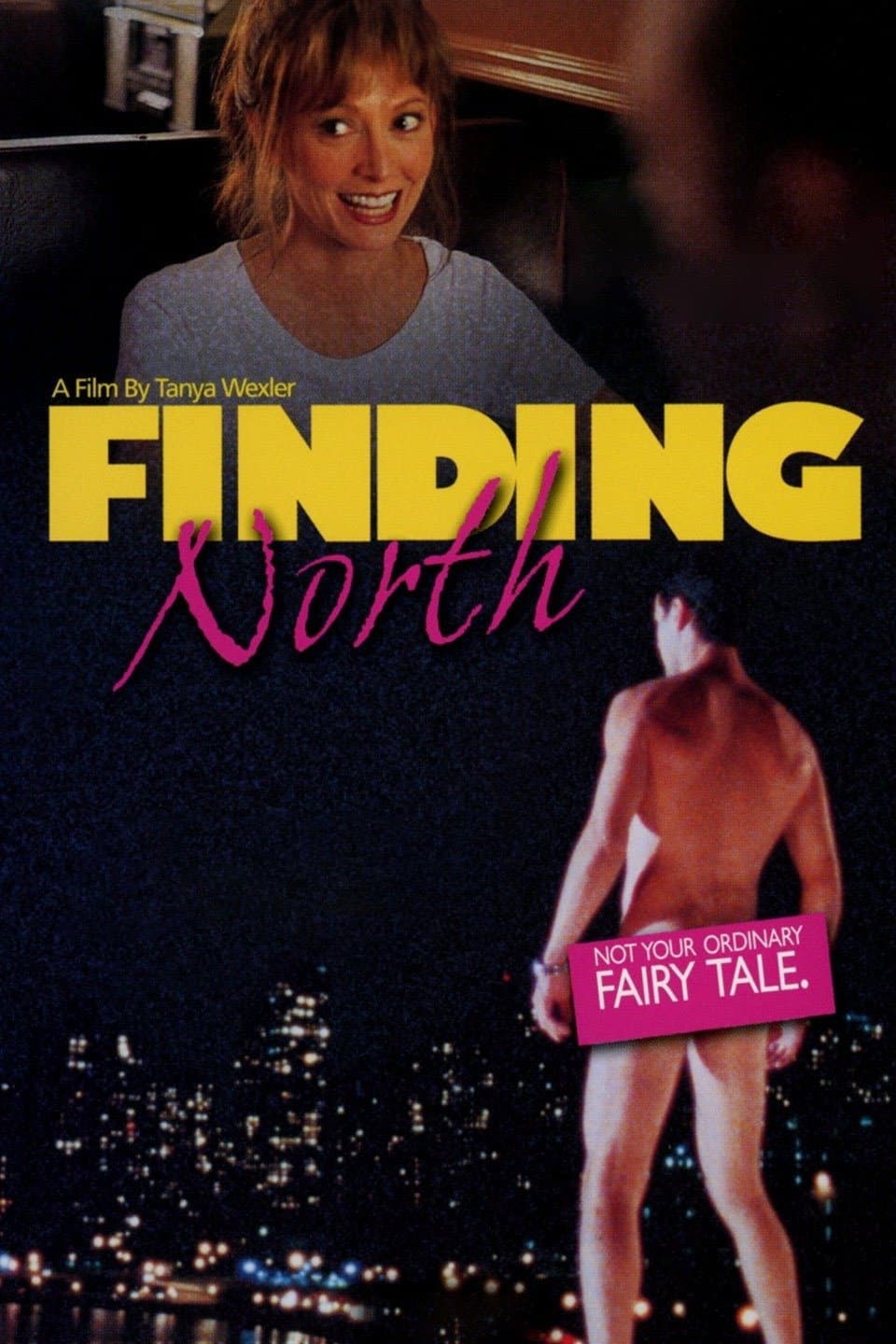 Poster di Finding North