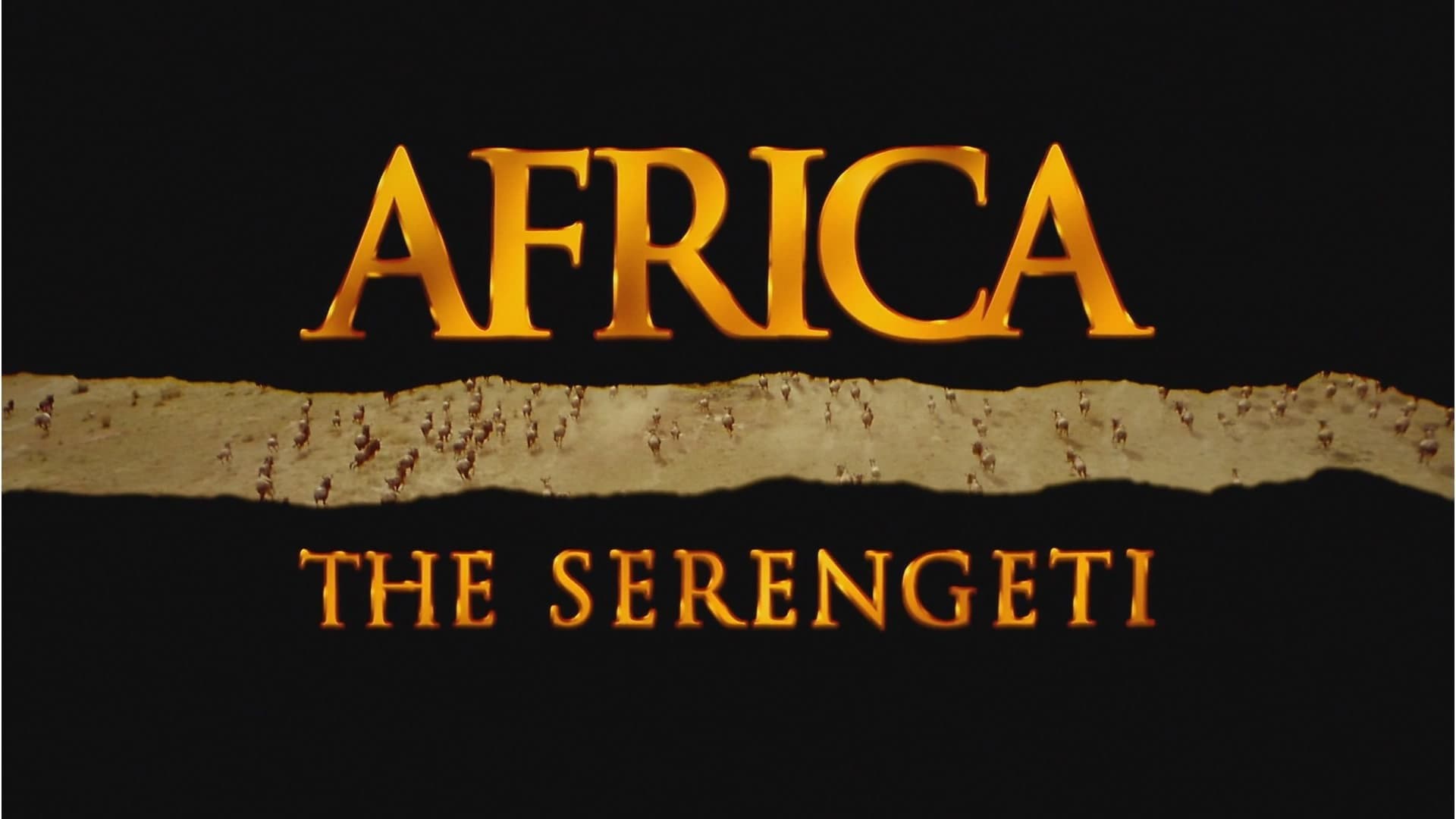 Africa: The Serengeti - immagine