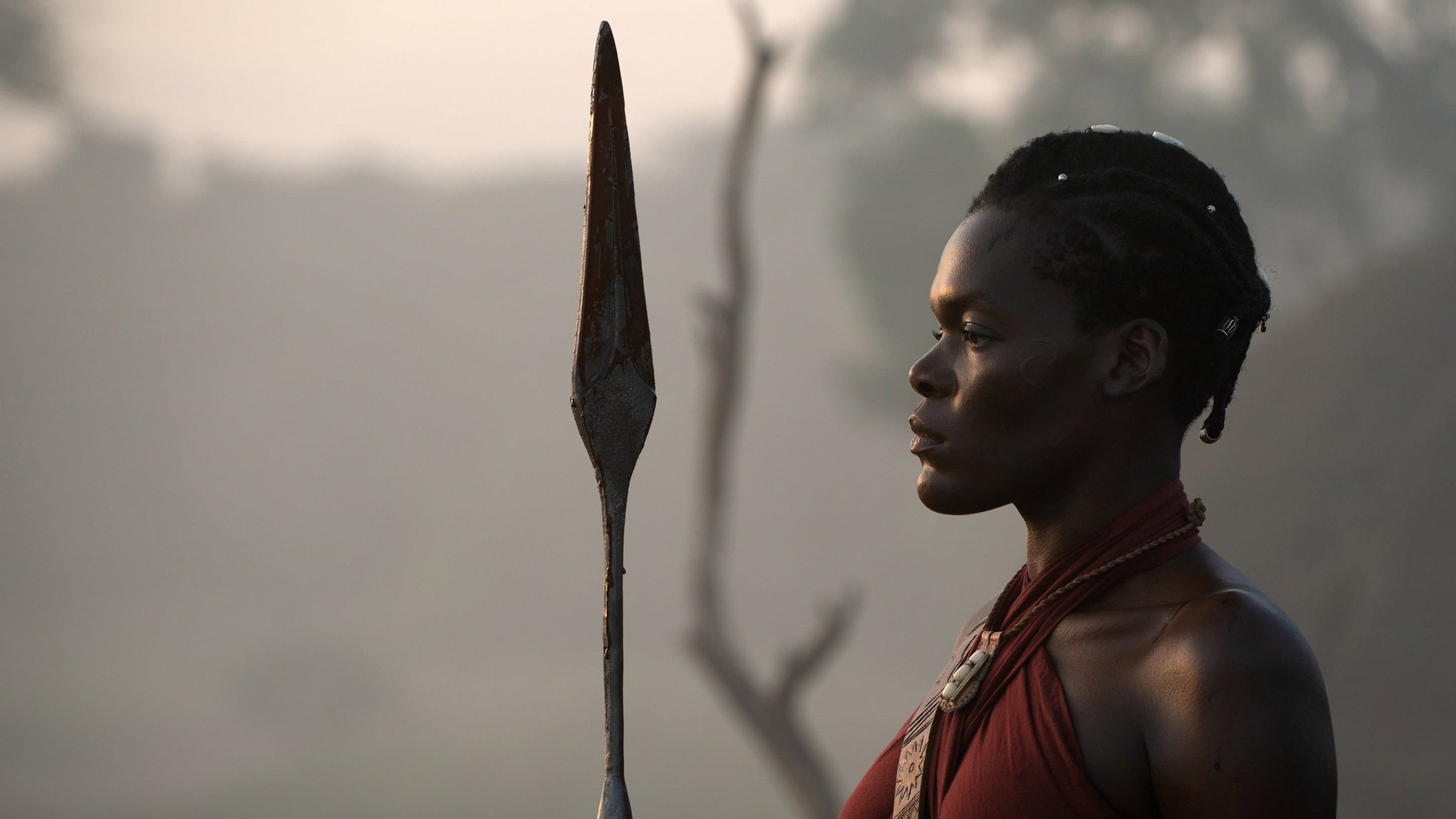 The Woman King - immagine