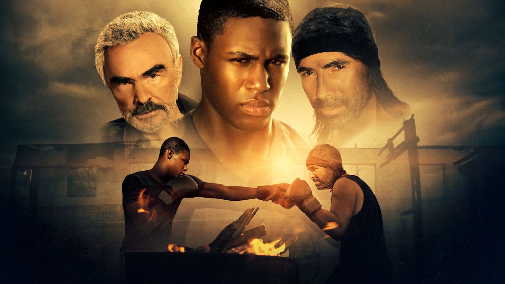 Shadow Fighter - immagine