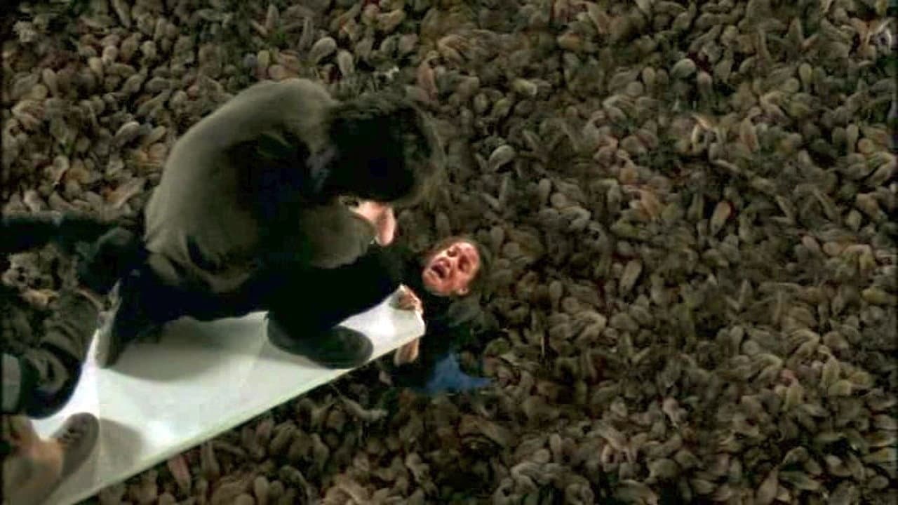 Rats - Il mostro che uccide - immagine