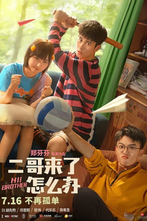 Poster di 二哥来了怎么办