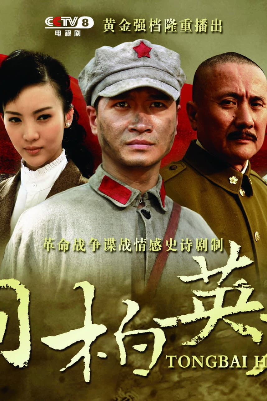 Poster di 桐柏英雄
