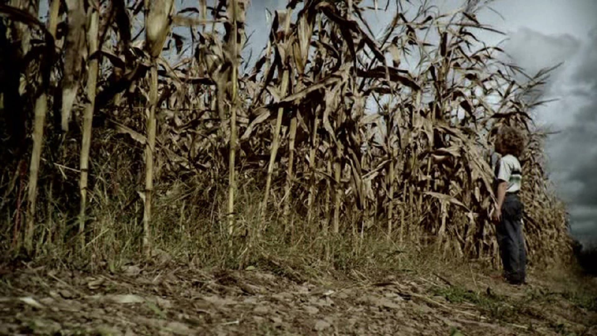 Le paludi della morte - Texas Killing Fields - immagine