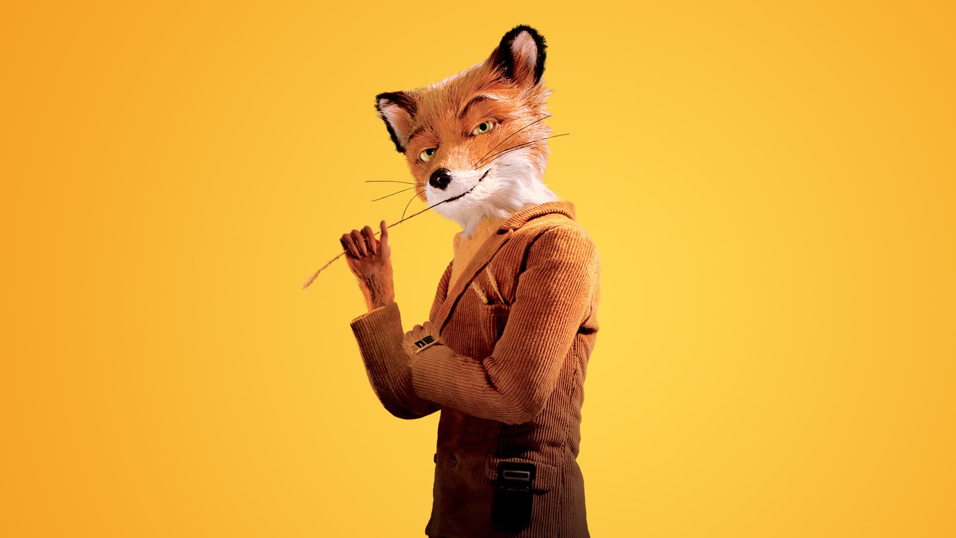 Fantastic Mr. Fox - immagine