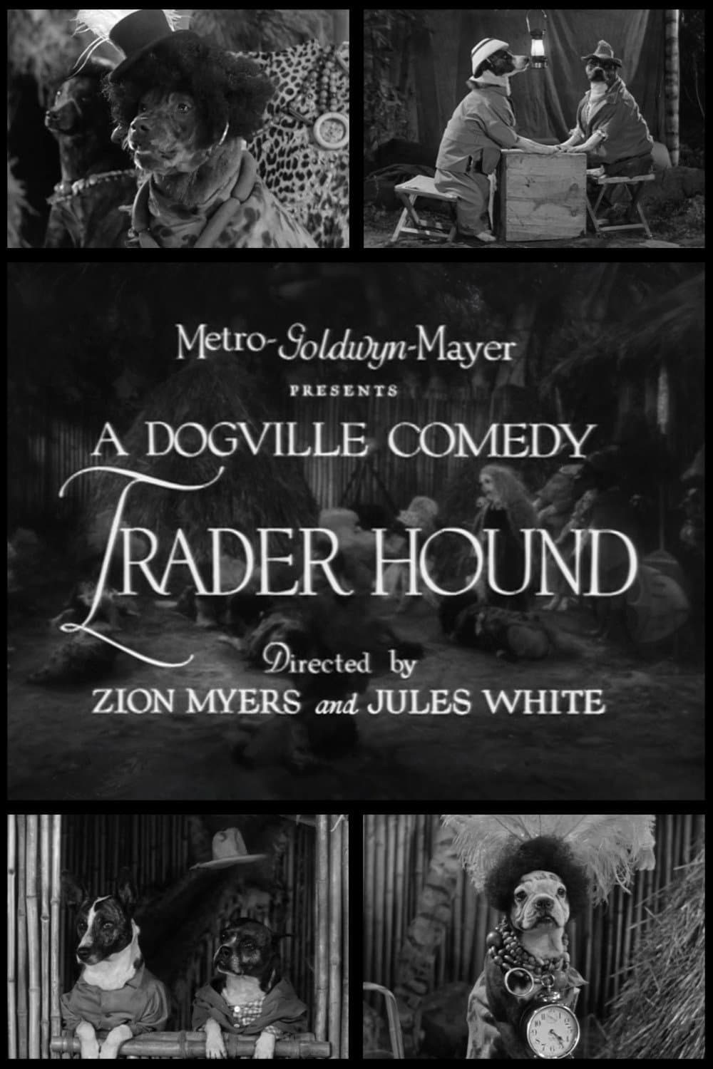 Poster di Trader Hound