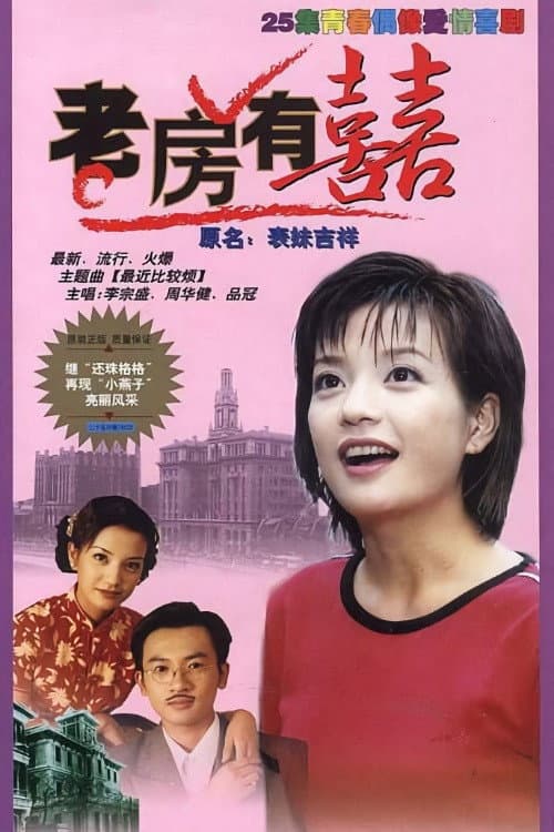 Poster di 老房有喜