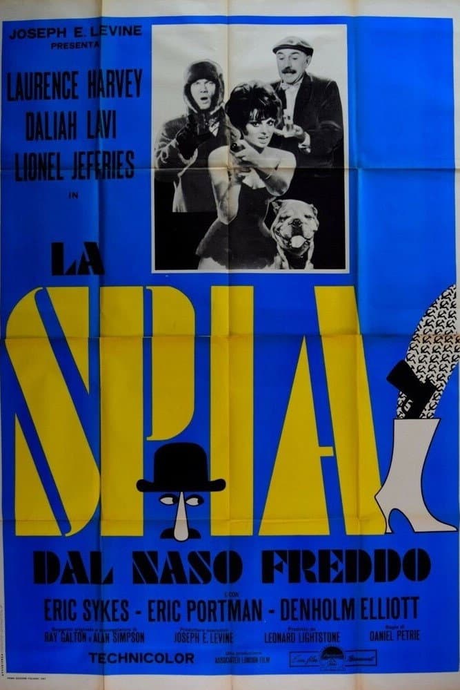 Poster di La spia dal naso freddo