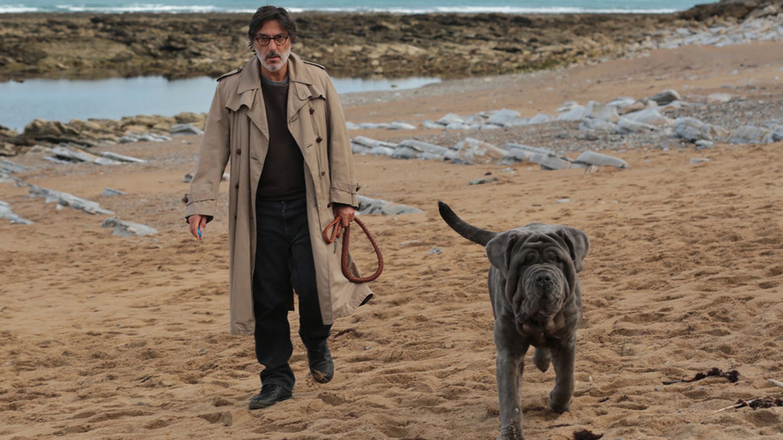 My Dog Stupid - Il mio cane Stupido - immagine