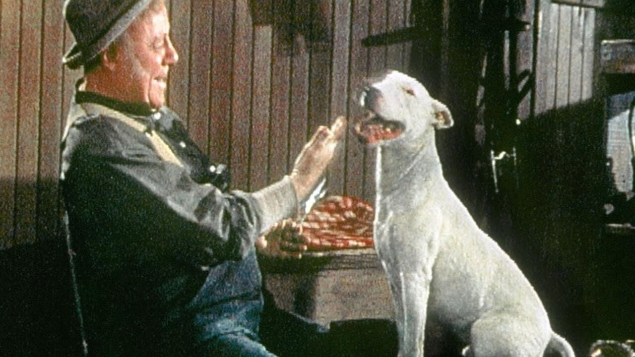 It's a Dog's Life - immagine