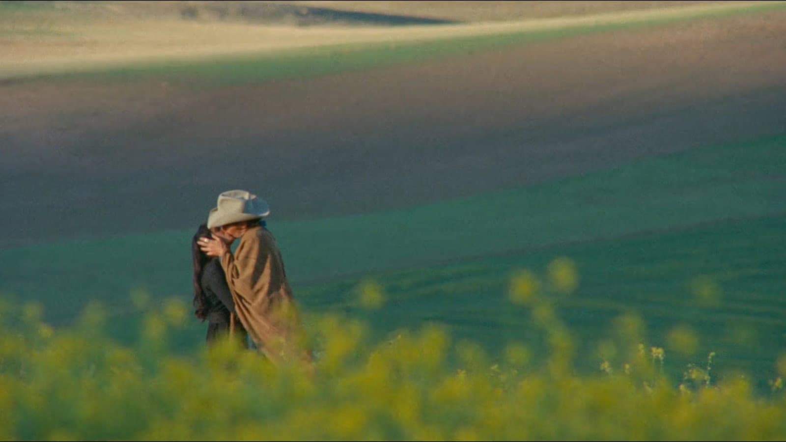 Fuga da Hollywood - immagine