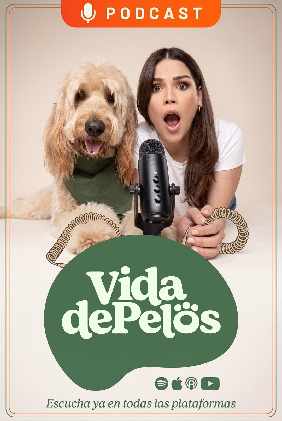 Poster di Vida de pelos
