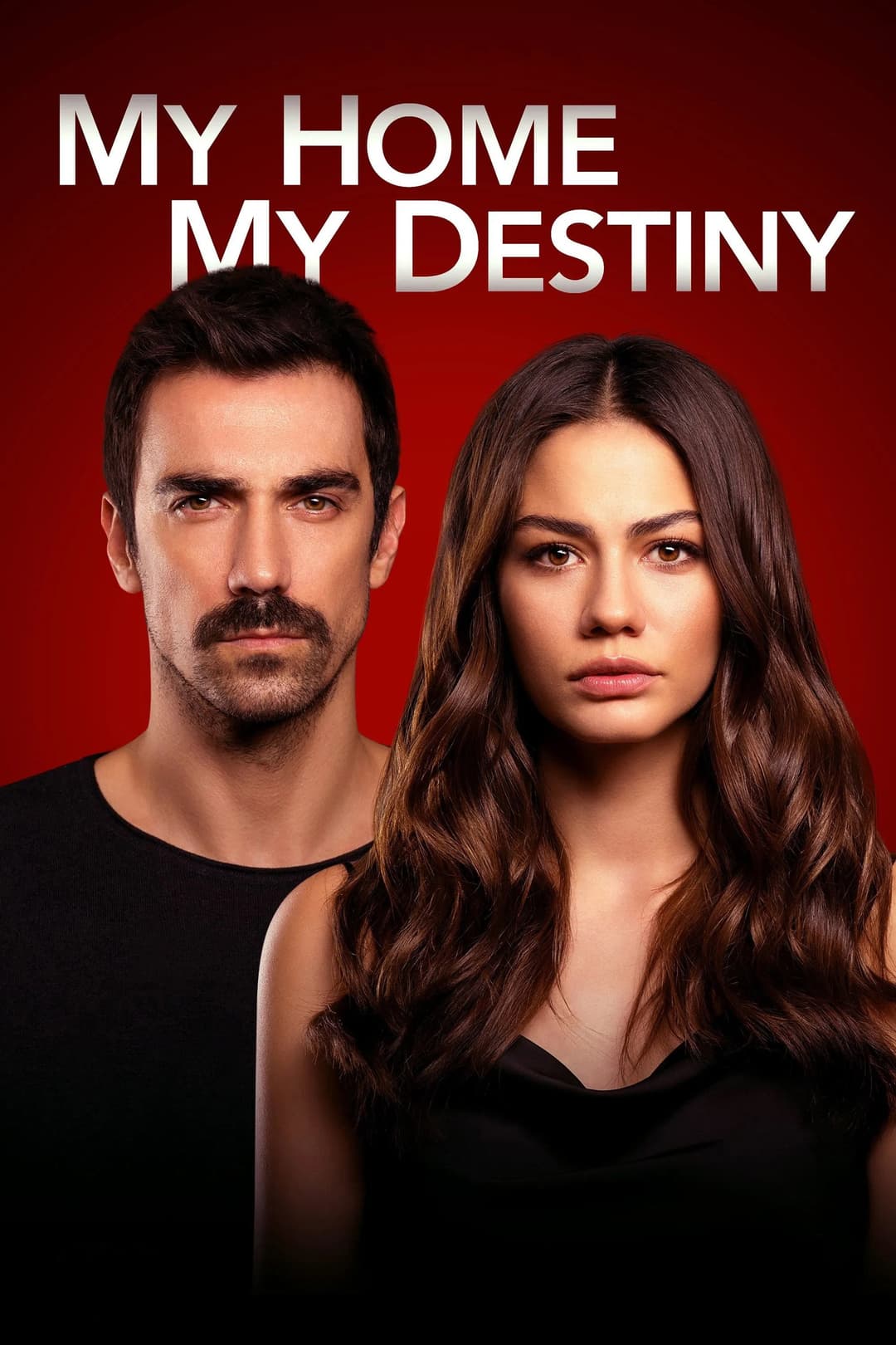 Poster di My home my destiny