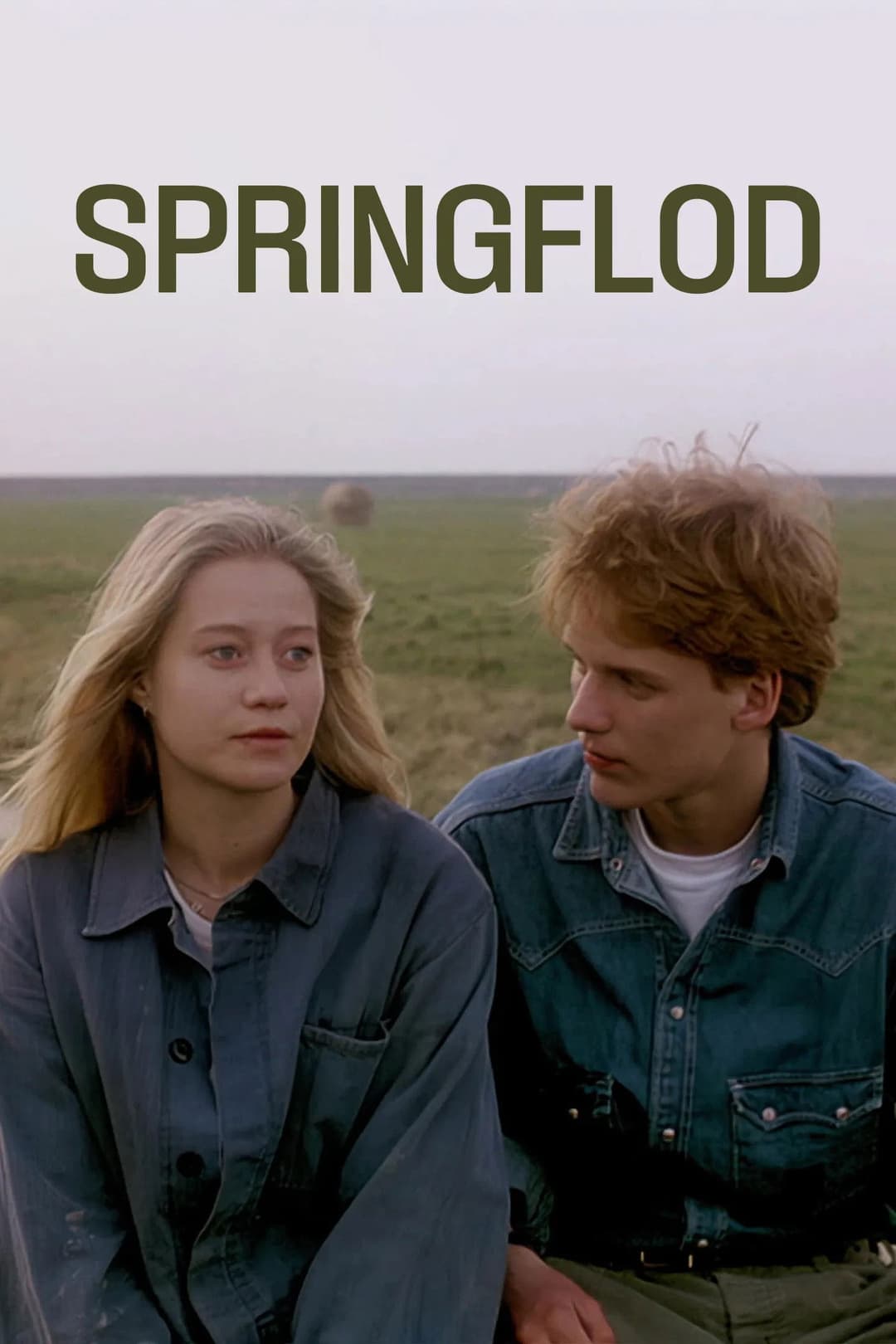 Poster di Springflod