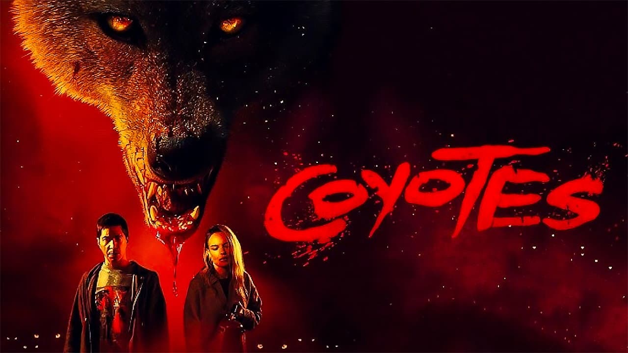 Coyotes - immagine