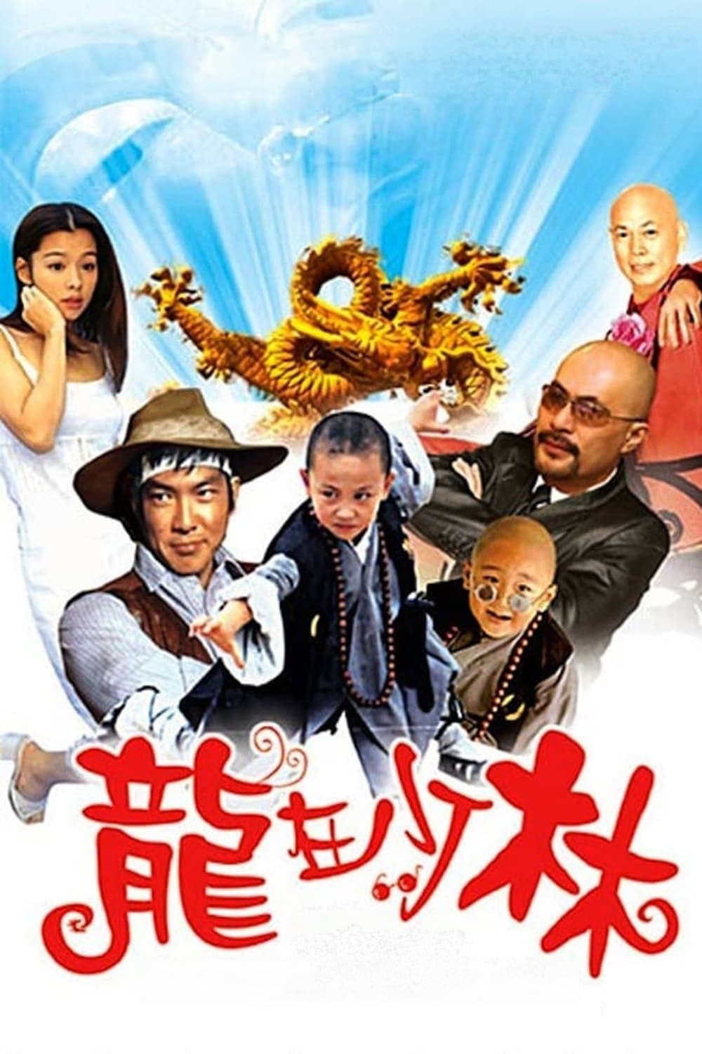 Poster di 龙在少林