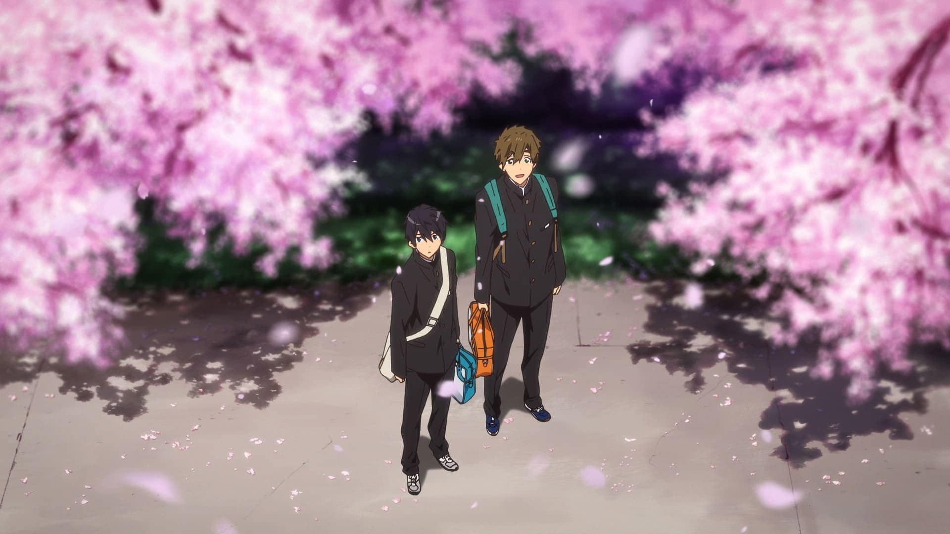 映画 ハイ☆スピード！-Free! Starting Days- - immagine