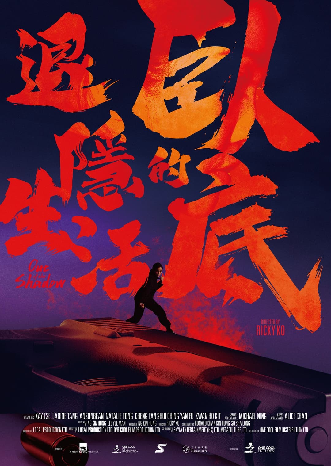 Poster di 臥底的退隱生活