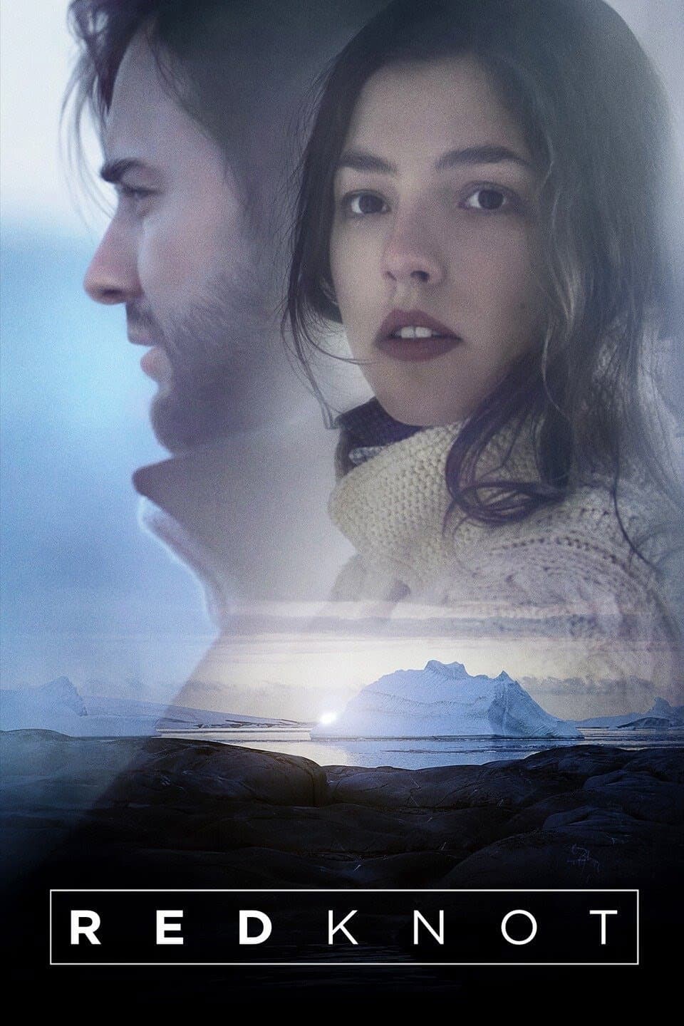 Poster di Red Knot