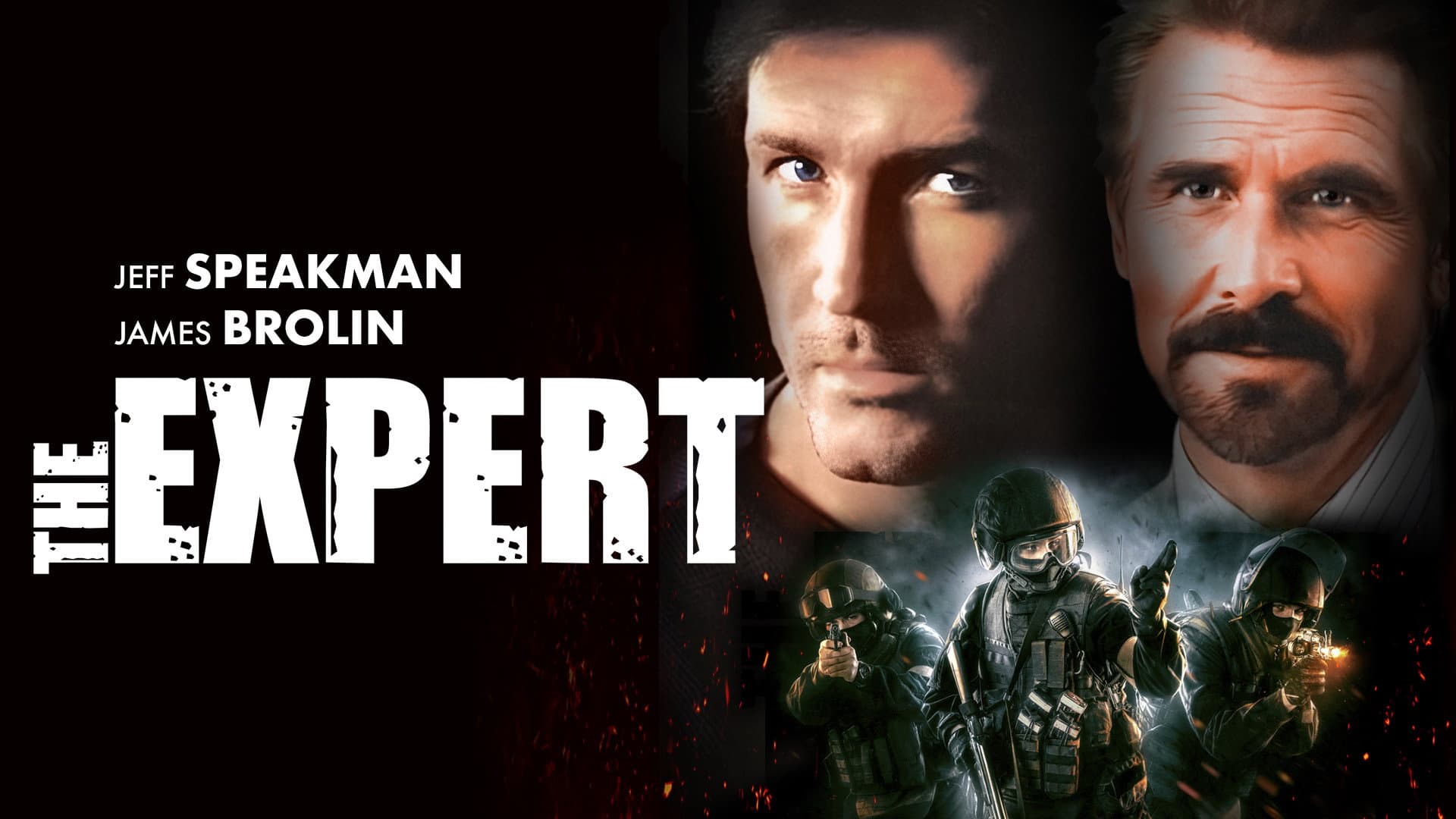The Expert - immagine