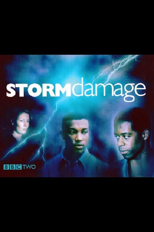 Poster di Storm Damage
