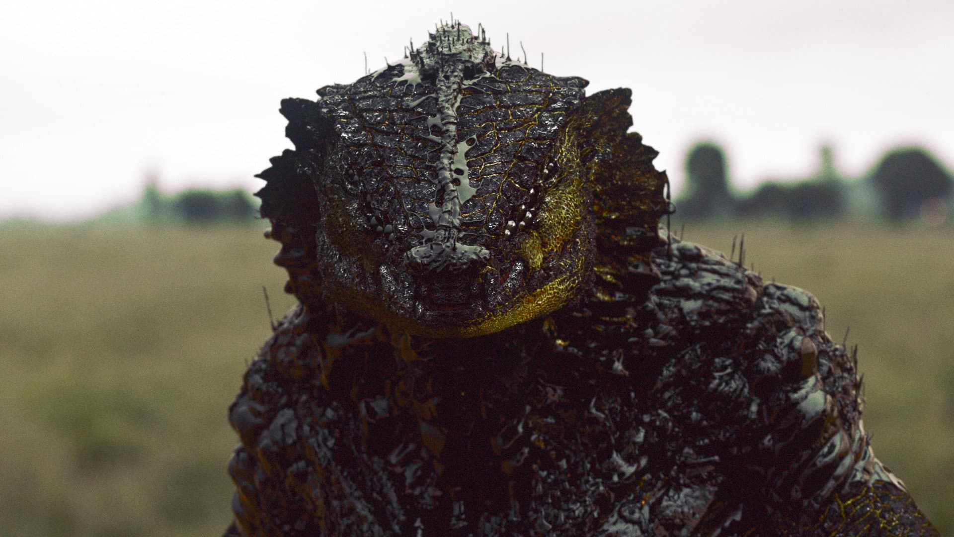 Oats Studios: Volume 1 - immagine