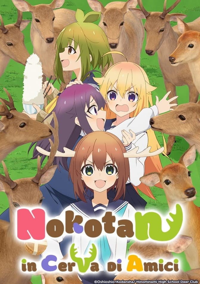 Poster di My Deer Friend Nokotan