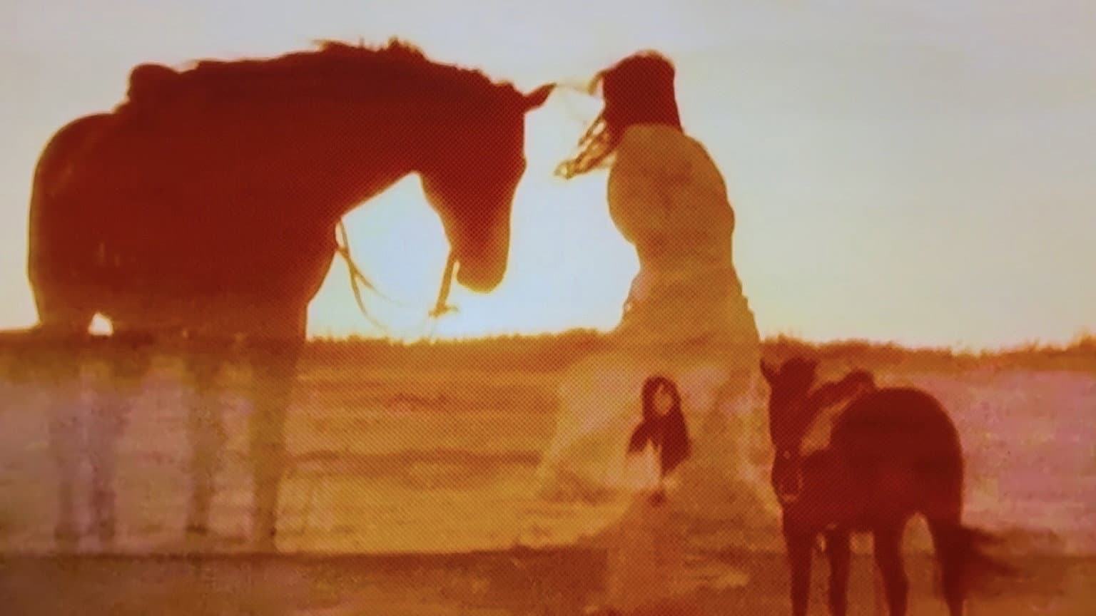 Horse, Woman, Dog - immagine