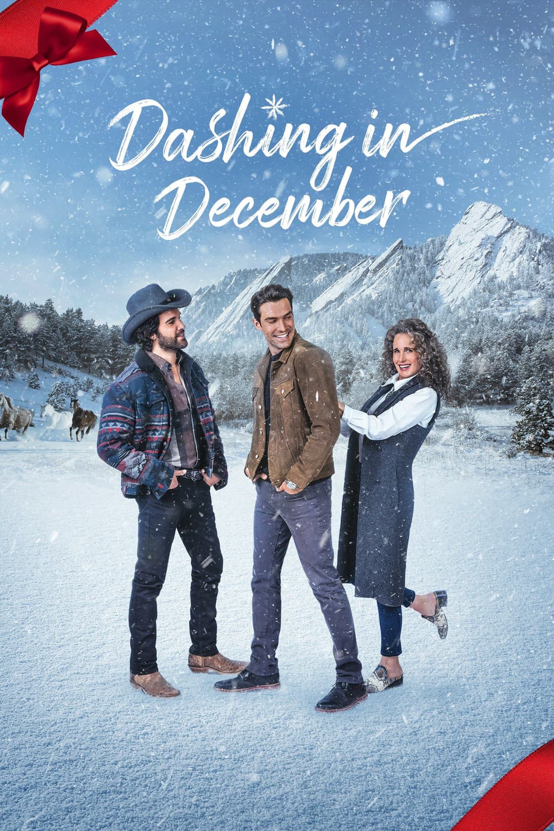 Poster di Dashing in December