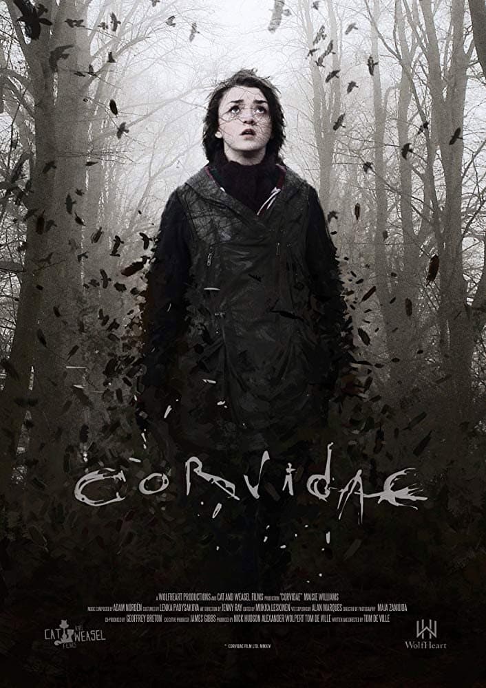 Poster di Corvidae