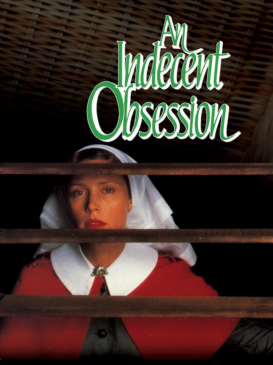 Poster di An Indecent Obsession