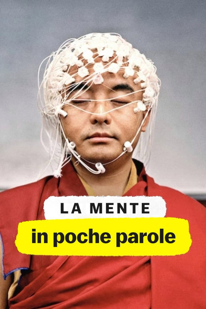 Poster di La mente in poche parole