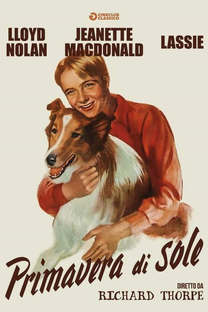 Poster di Primavera di sole