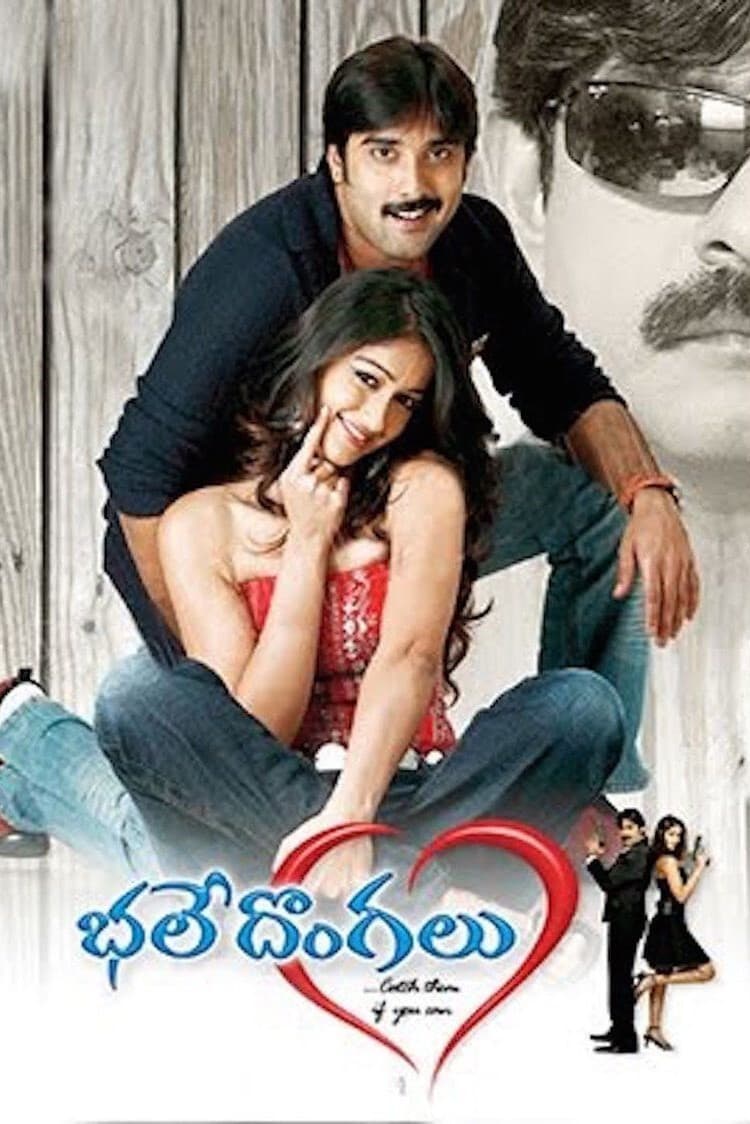 Poster di భలే దొంగలు
