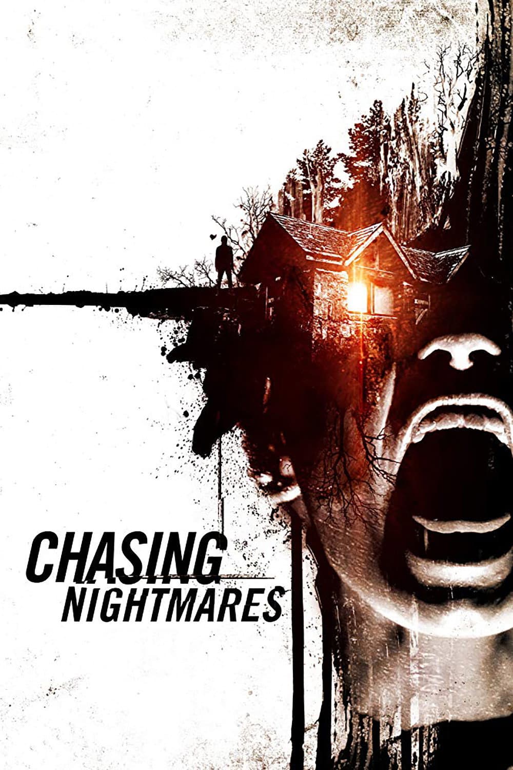Poster di Chasing Nightmares