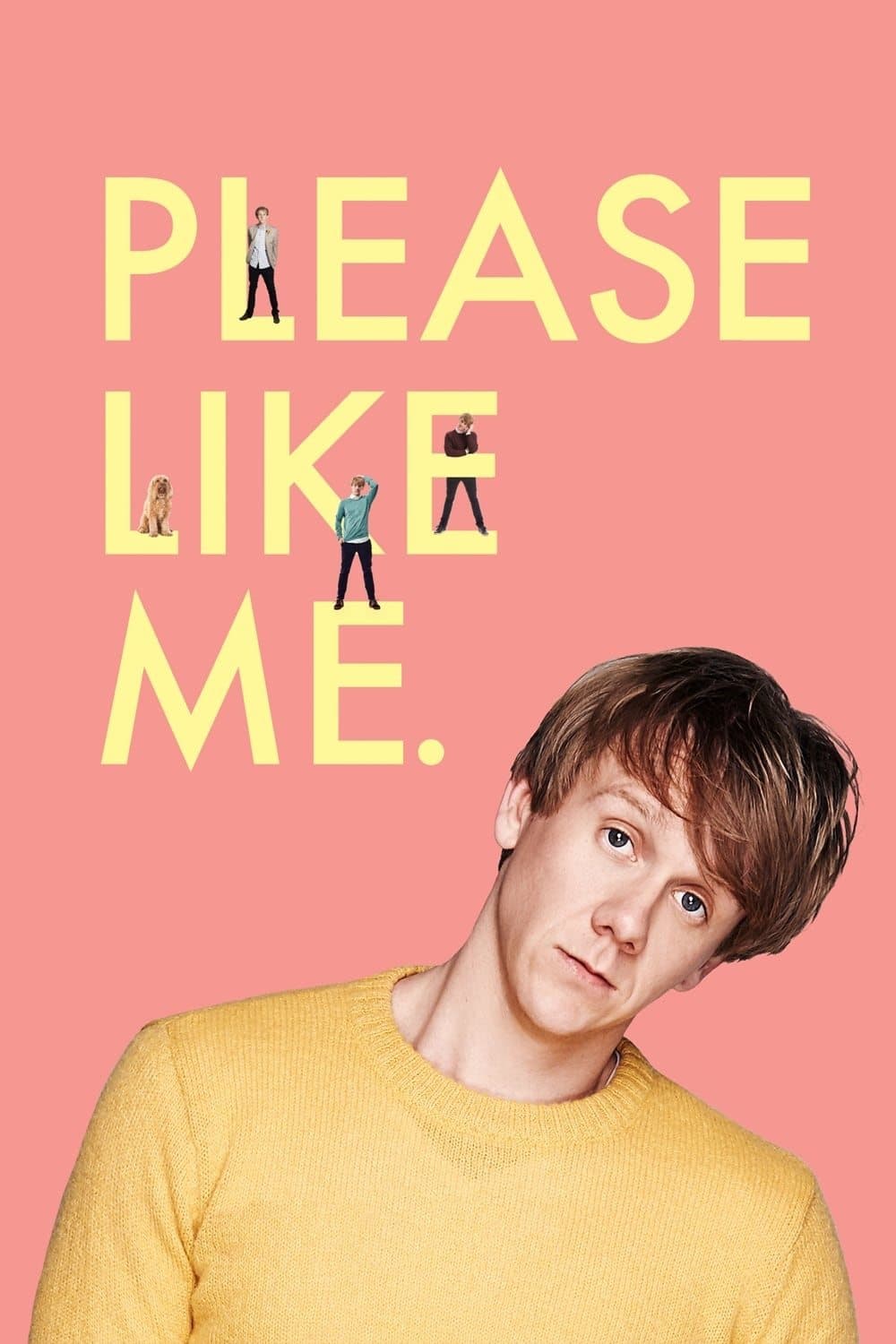 Poster di Please Like Me