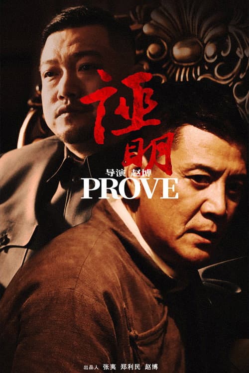 Poster di 证明