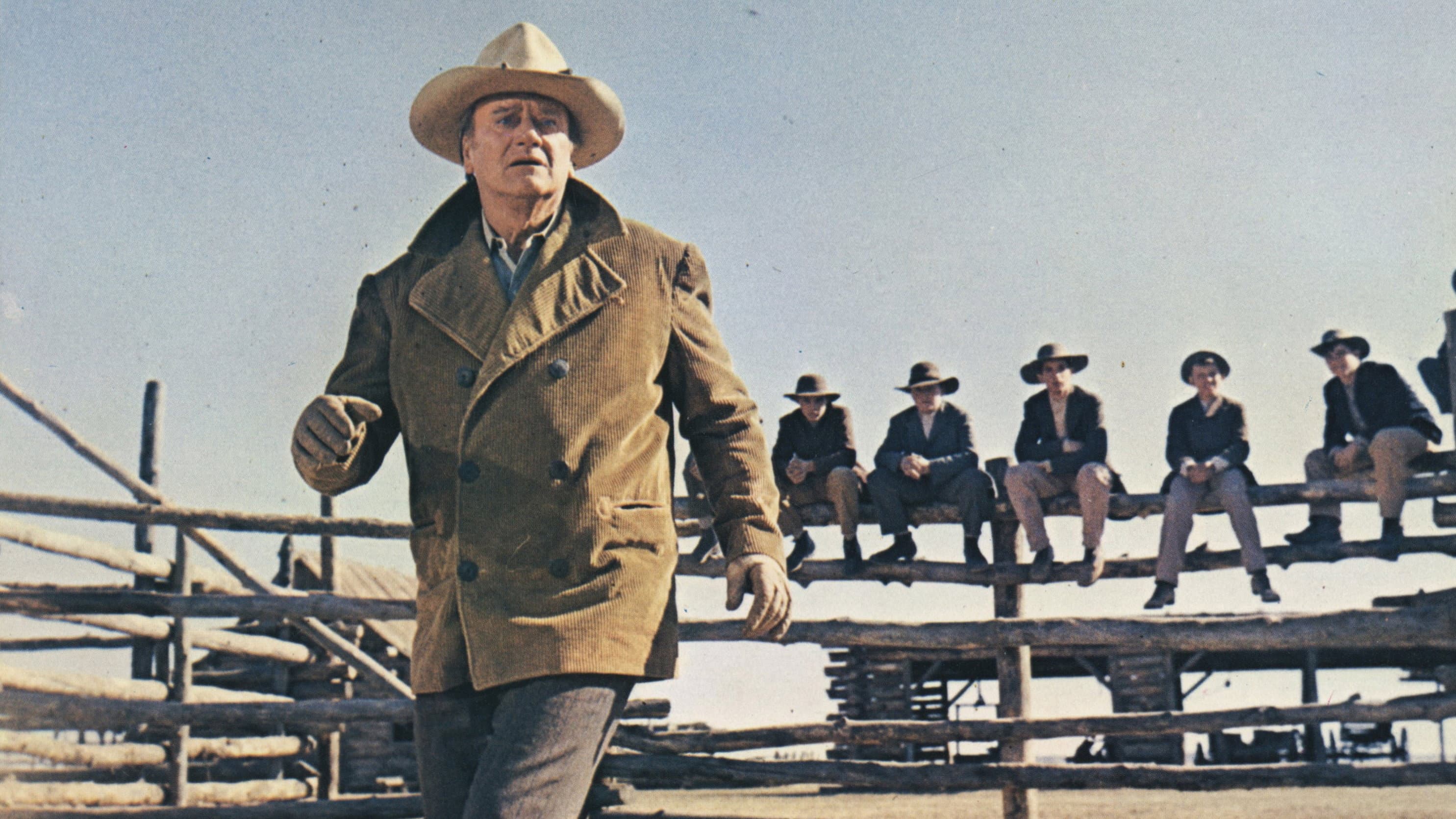I cowboys - immagine