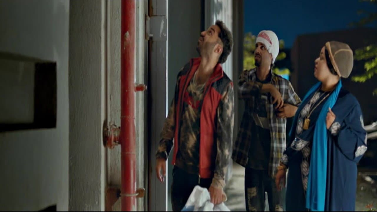 كلب بلدي - immagine