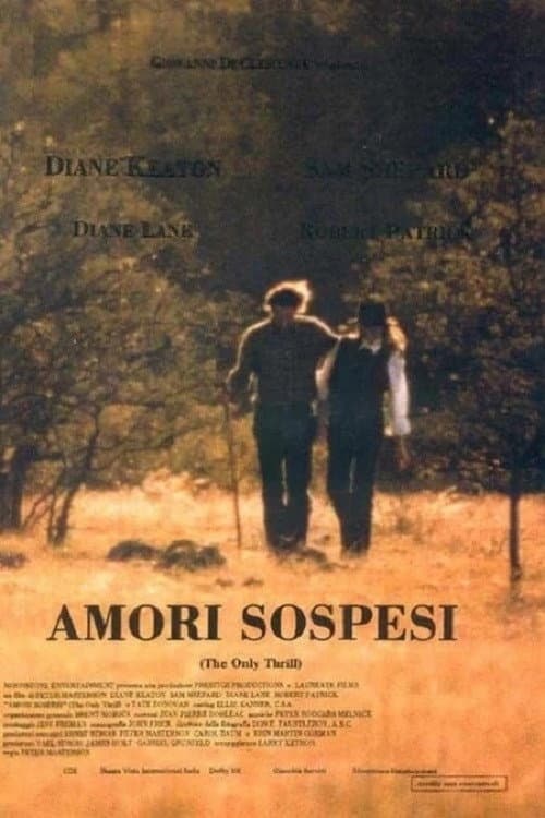 Poster di Amori sospesi