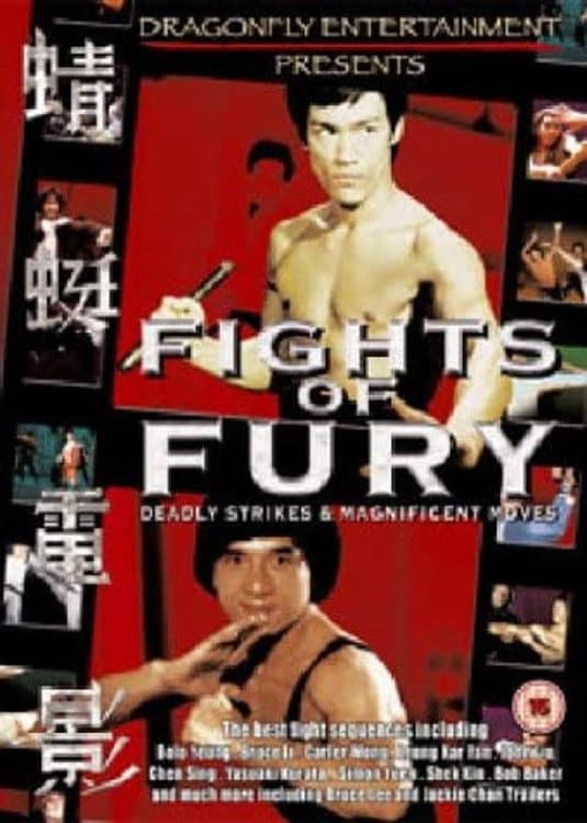 Poster di Fights of Fury