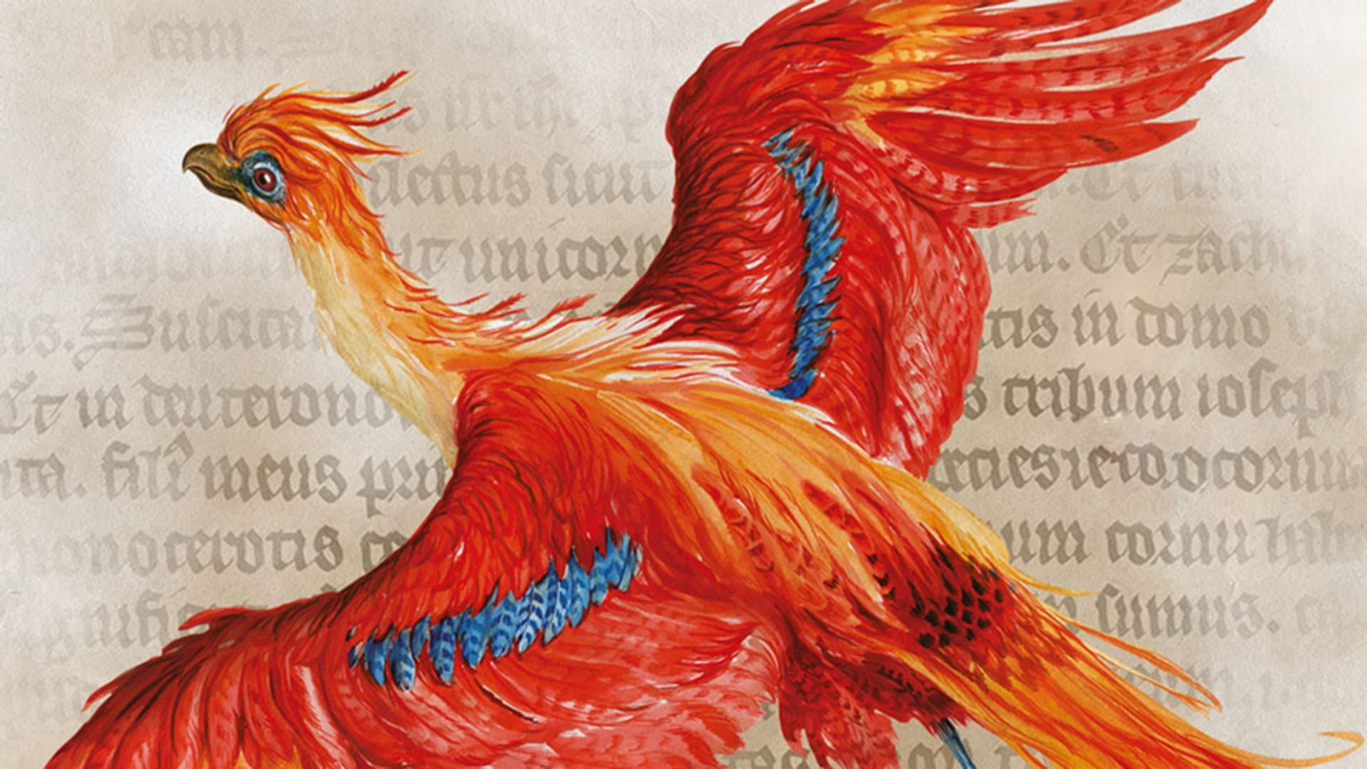 Harry Potter: A History Of Magic - immagine