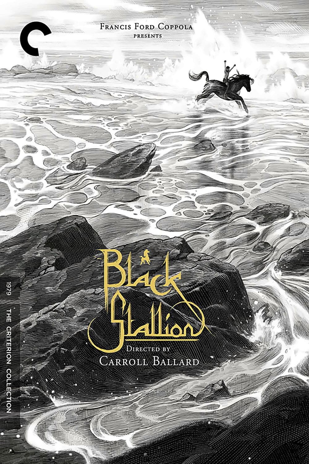 Poster di Black Stallion