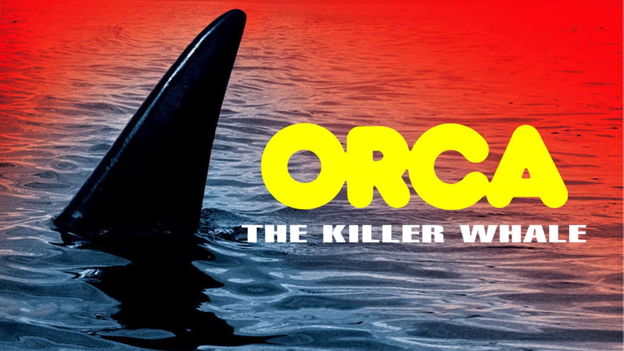 L'orca assassina - immagine